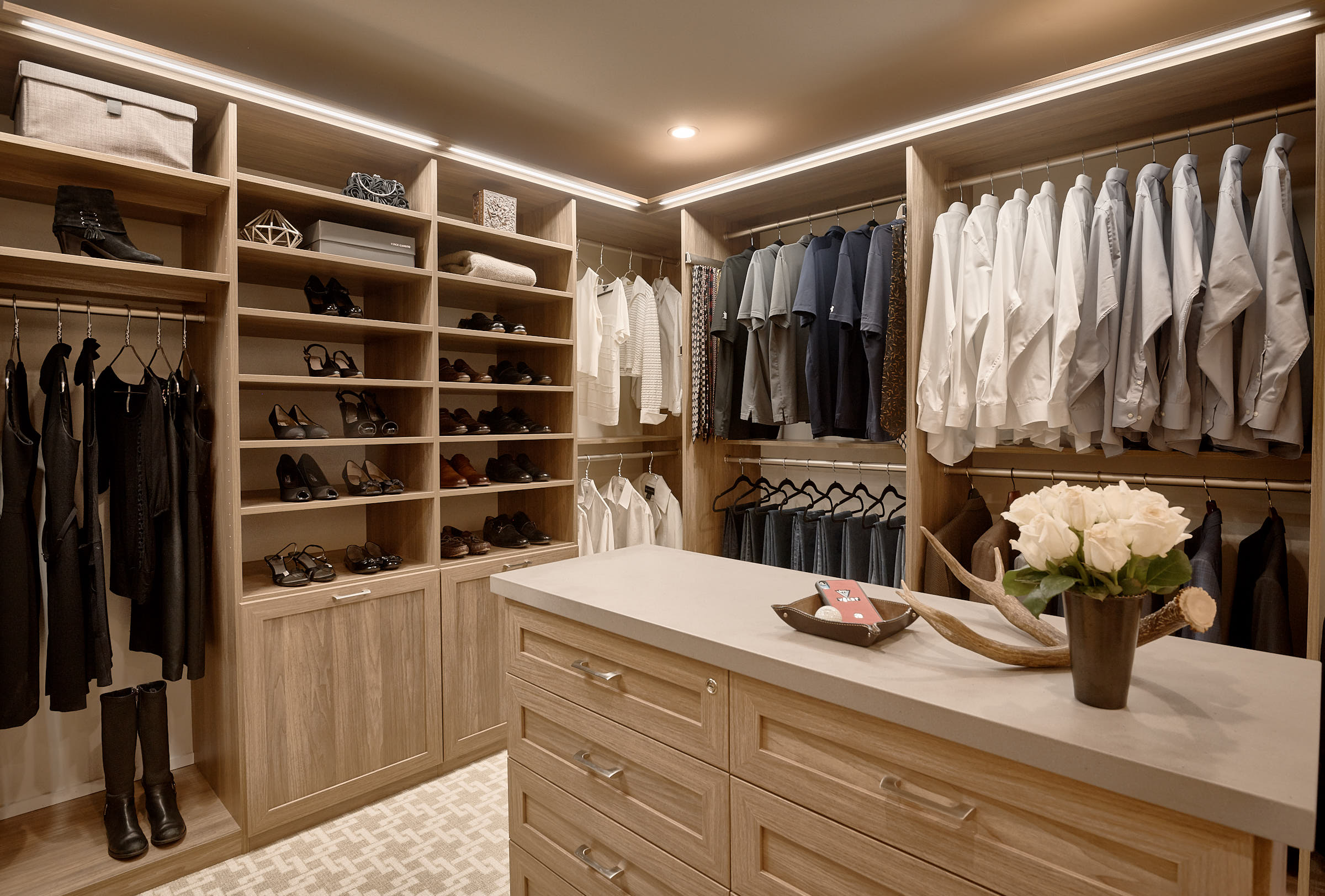 Closet systems